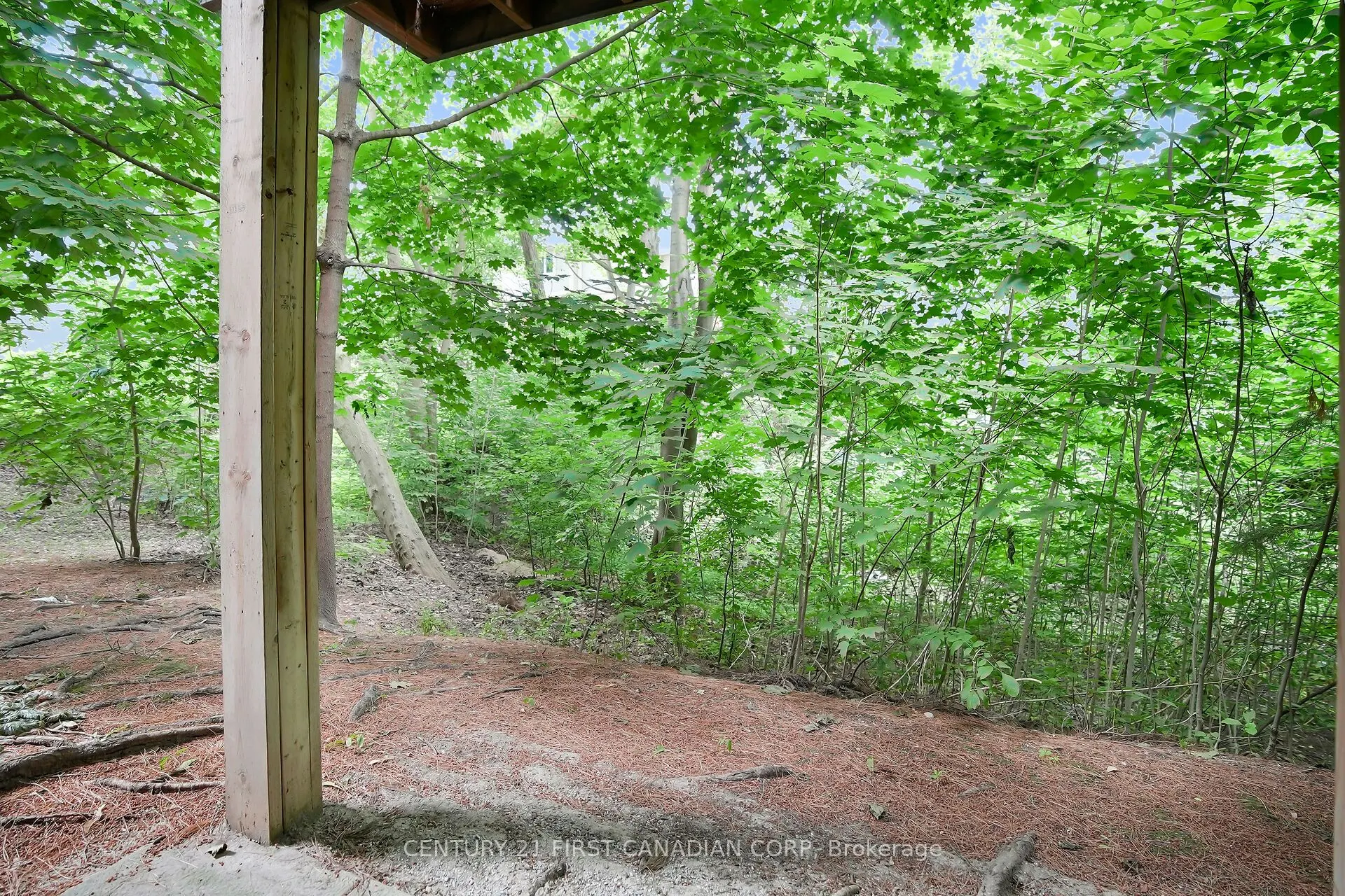 9 Ailsa Place #11