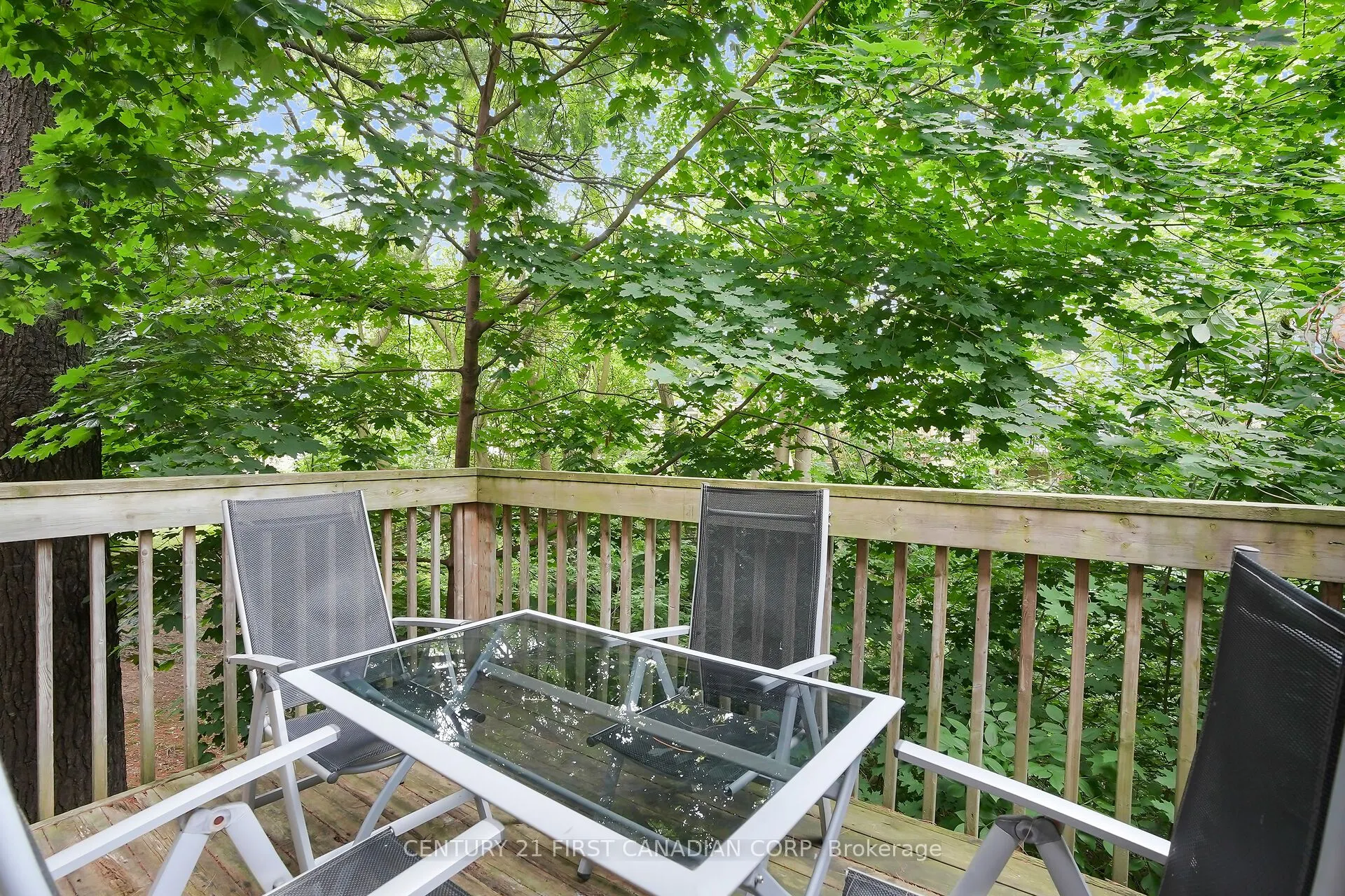 9 Ailsa Place #11