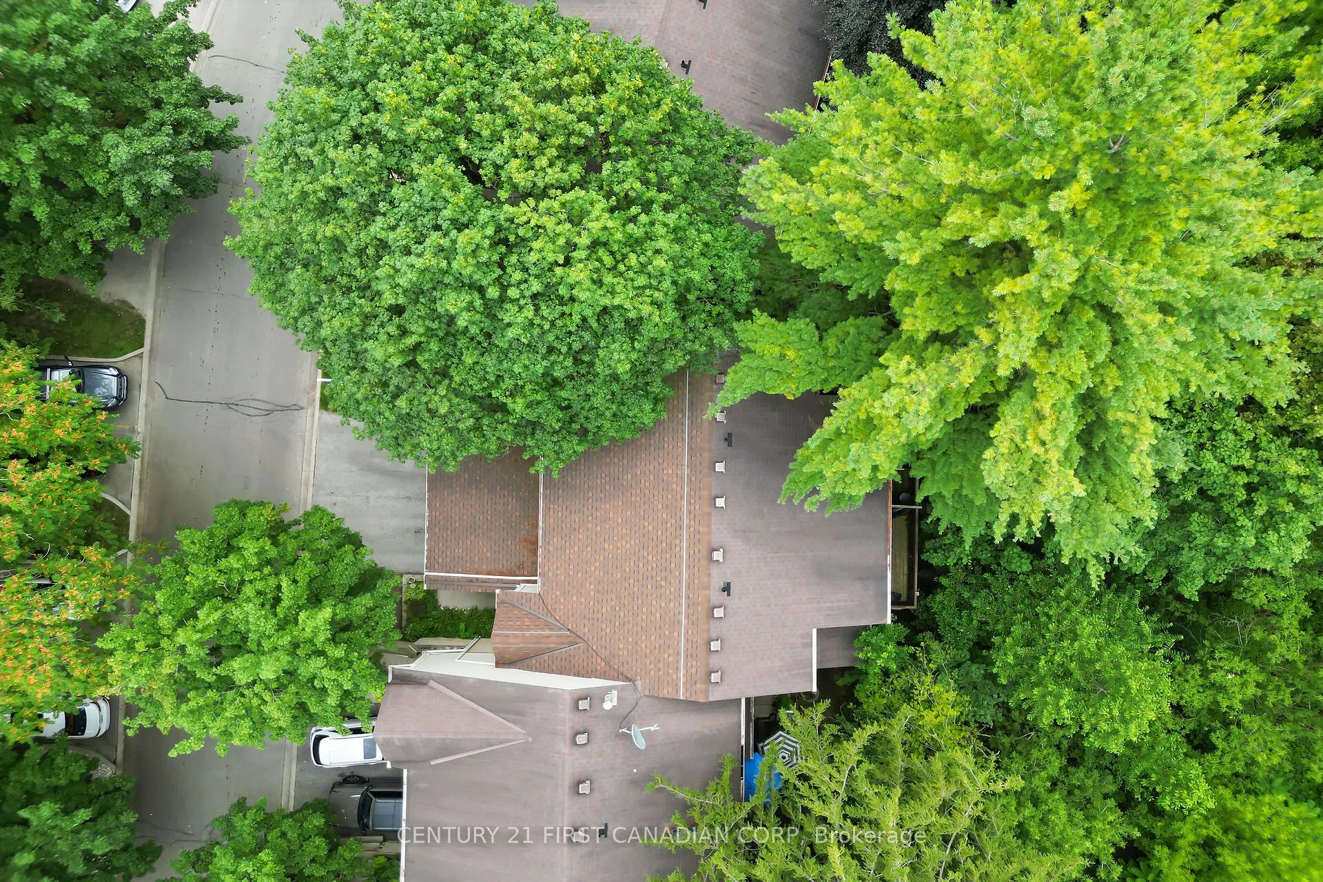 9 Ailsa Place #11