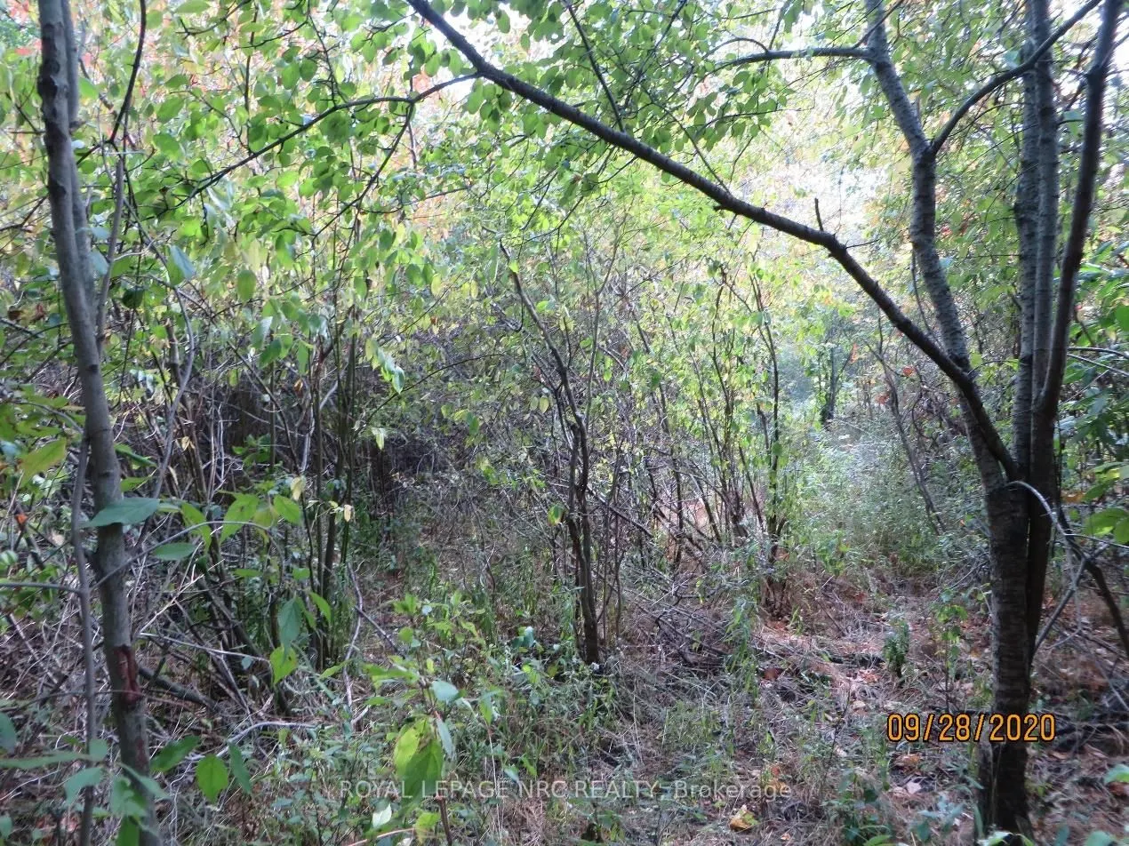 3779 Niagara Parkway, #LOT 2