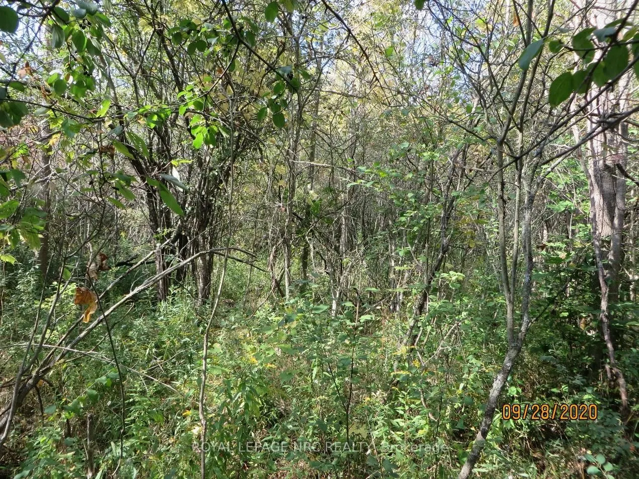 3779 Niagara Parkway, #LOT 2