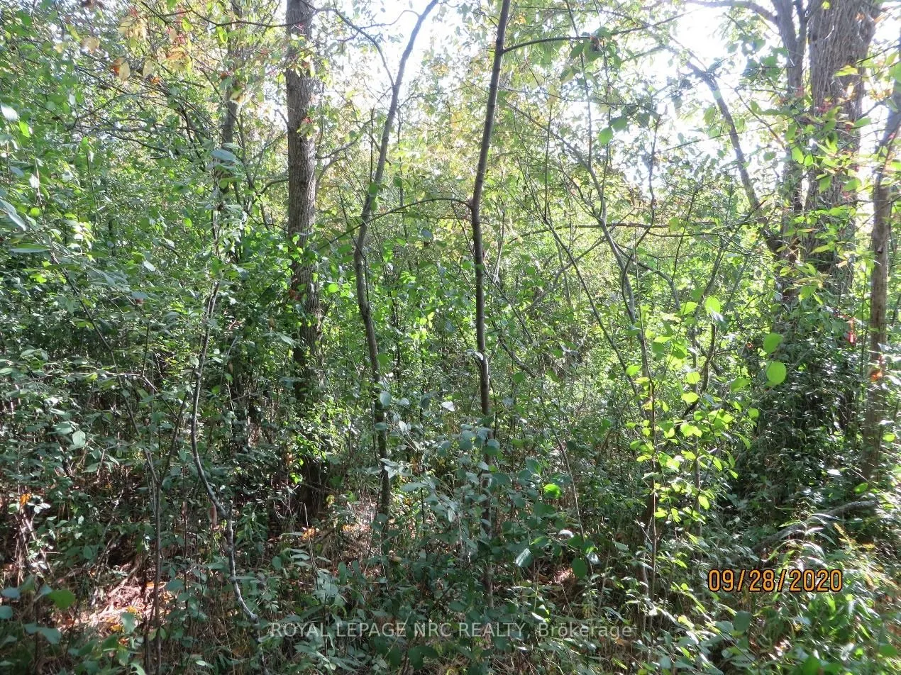 3779 Niagara Parkway, #LOT 2