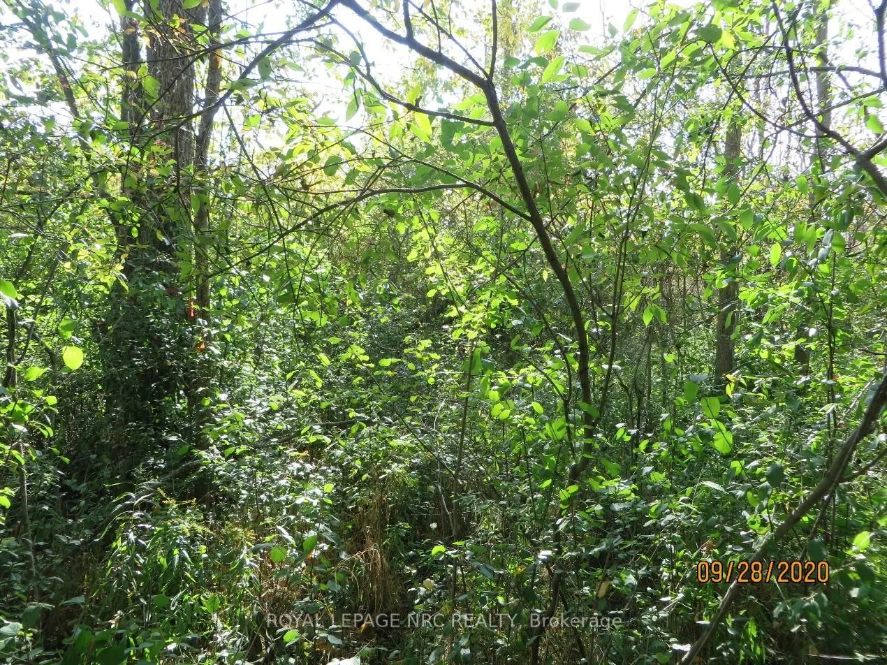 3779 Niagara Parkway, #LOT 2