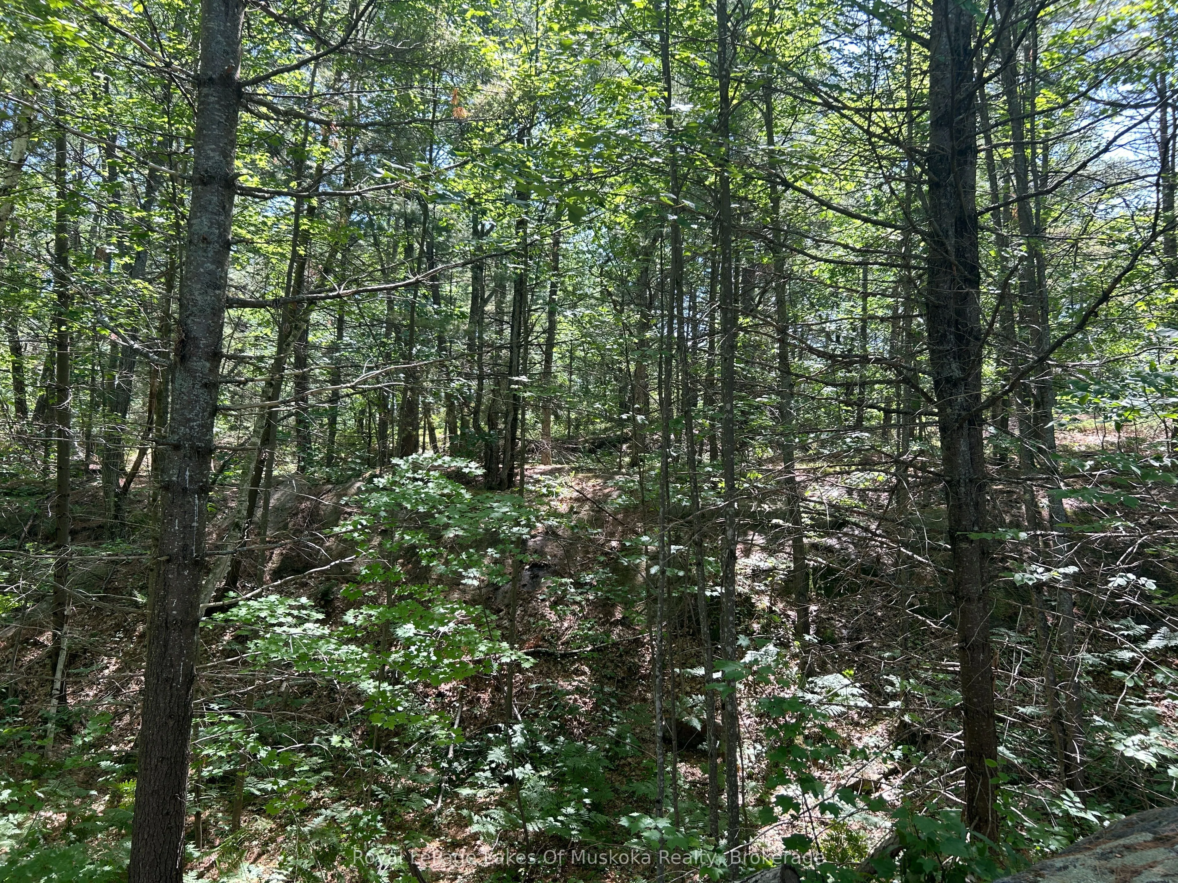 LOT 1 BALA PARK ISLAND