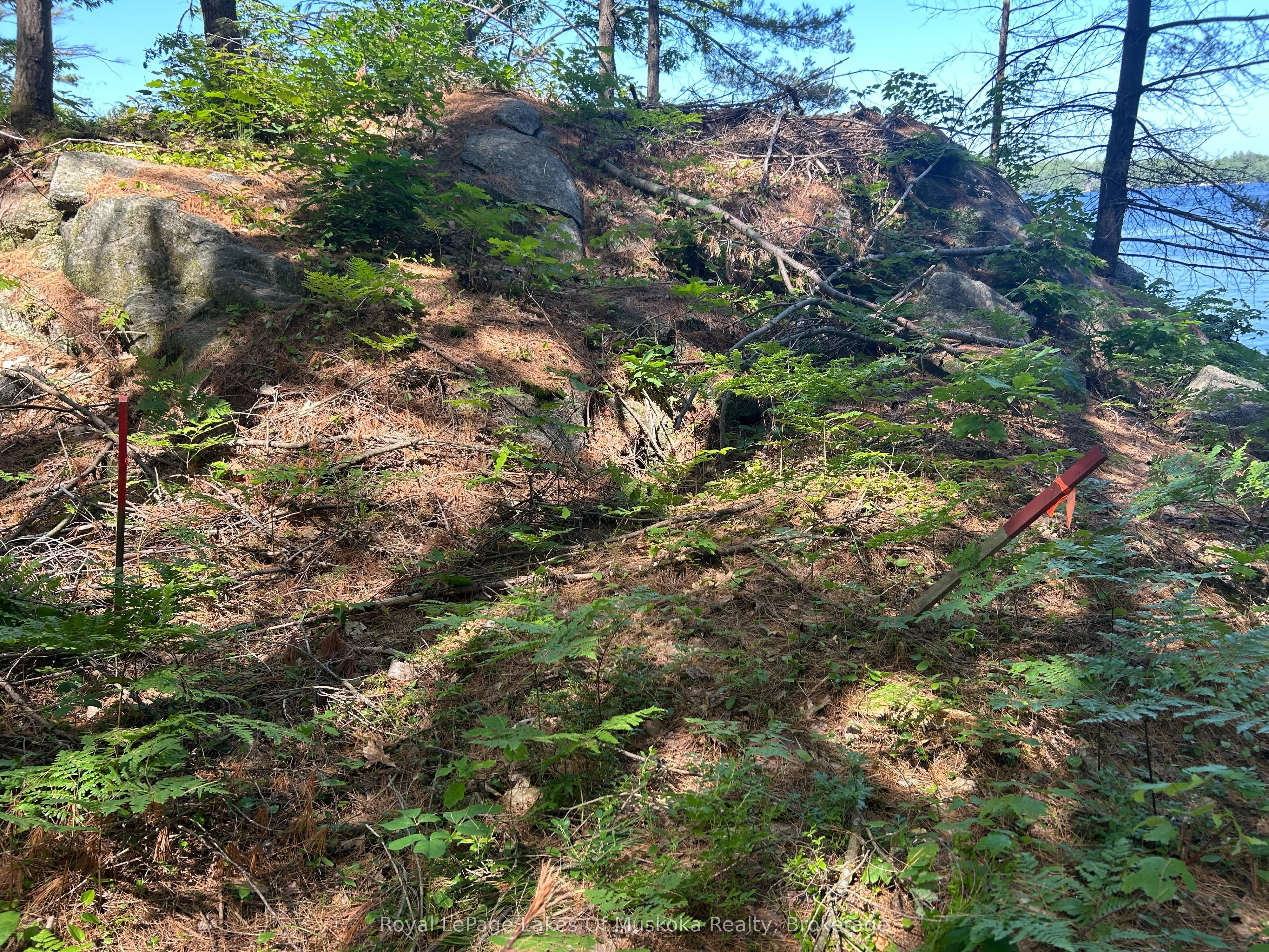 LOT 1 BALA PARK ISLAND
