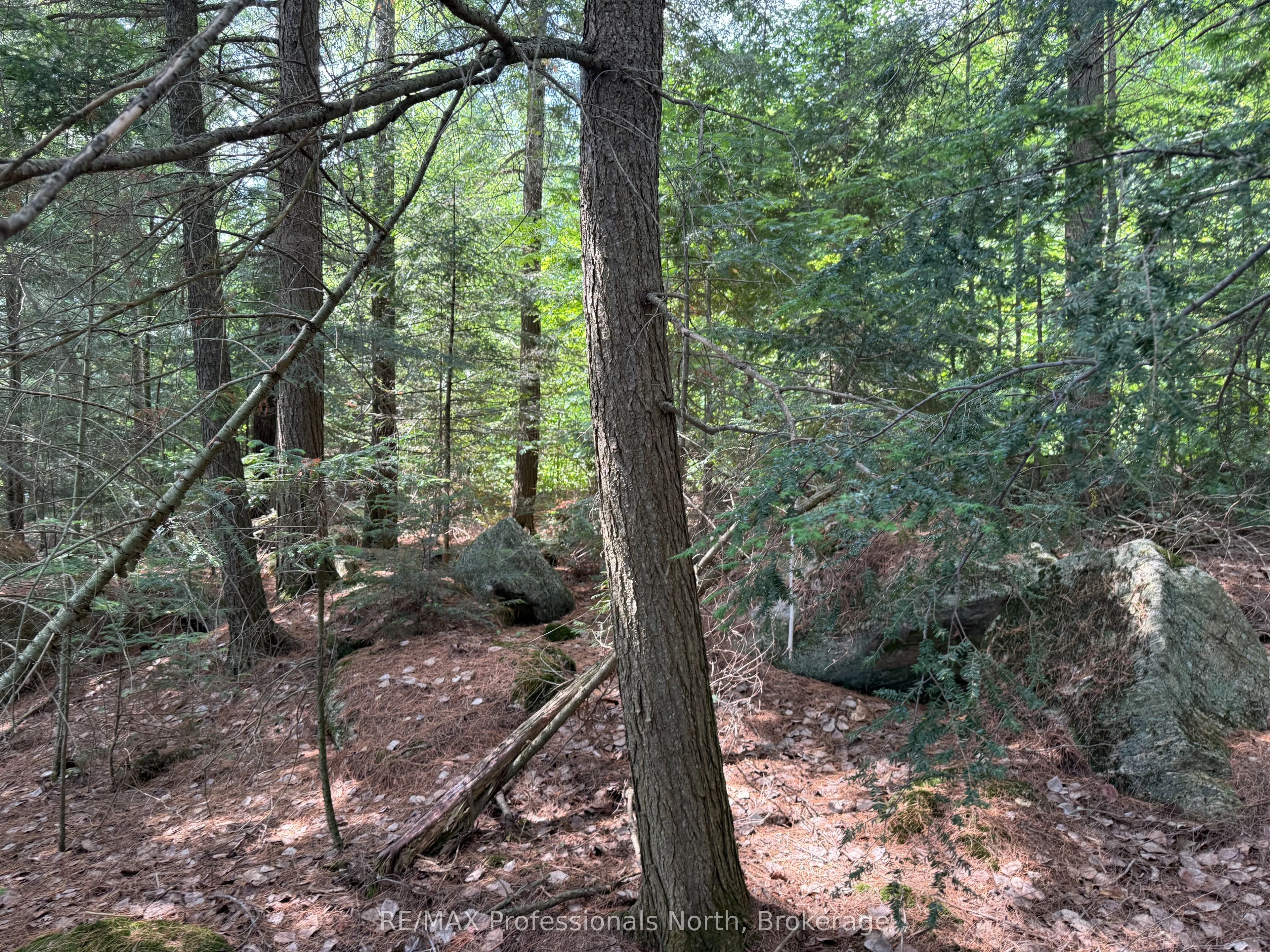 0 Halls Lake Road