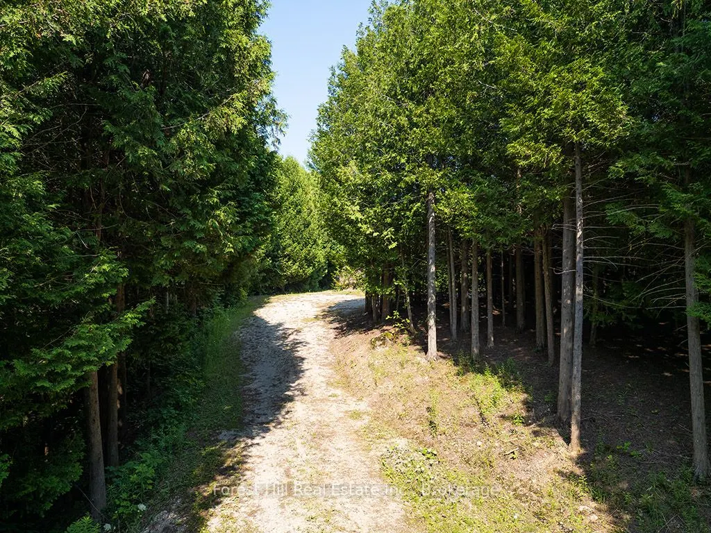 596325 Concession 10
