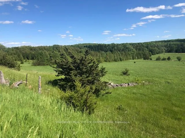 227 Concession Road 13 E