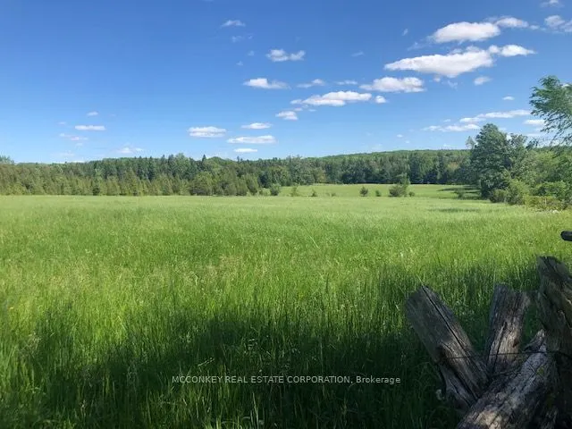251 Concession Rd 13 E