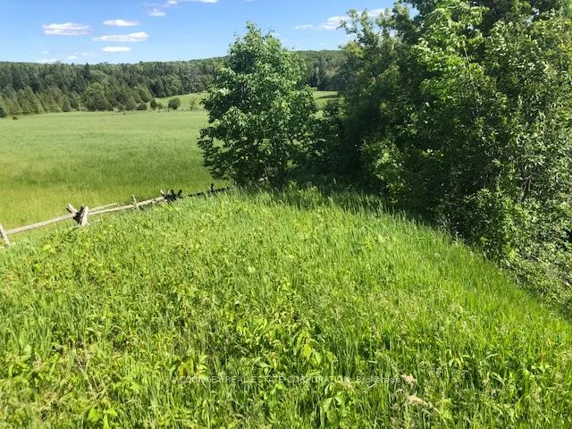 251 Concession Rd 13 E