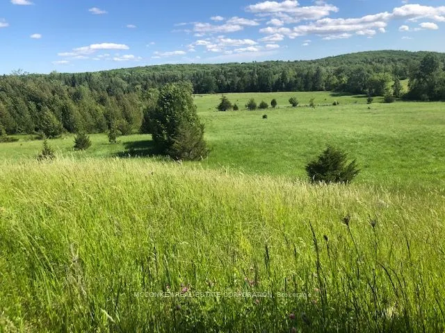 251 Concession Rd 13 E