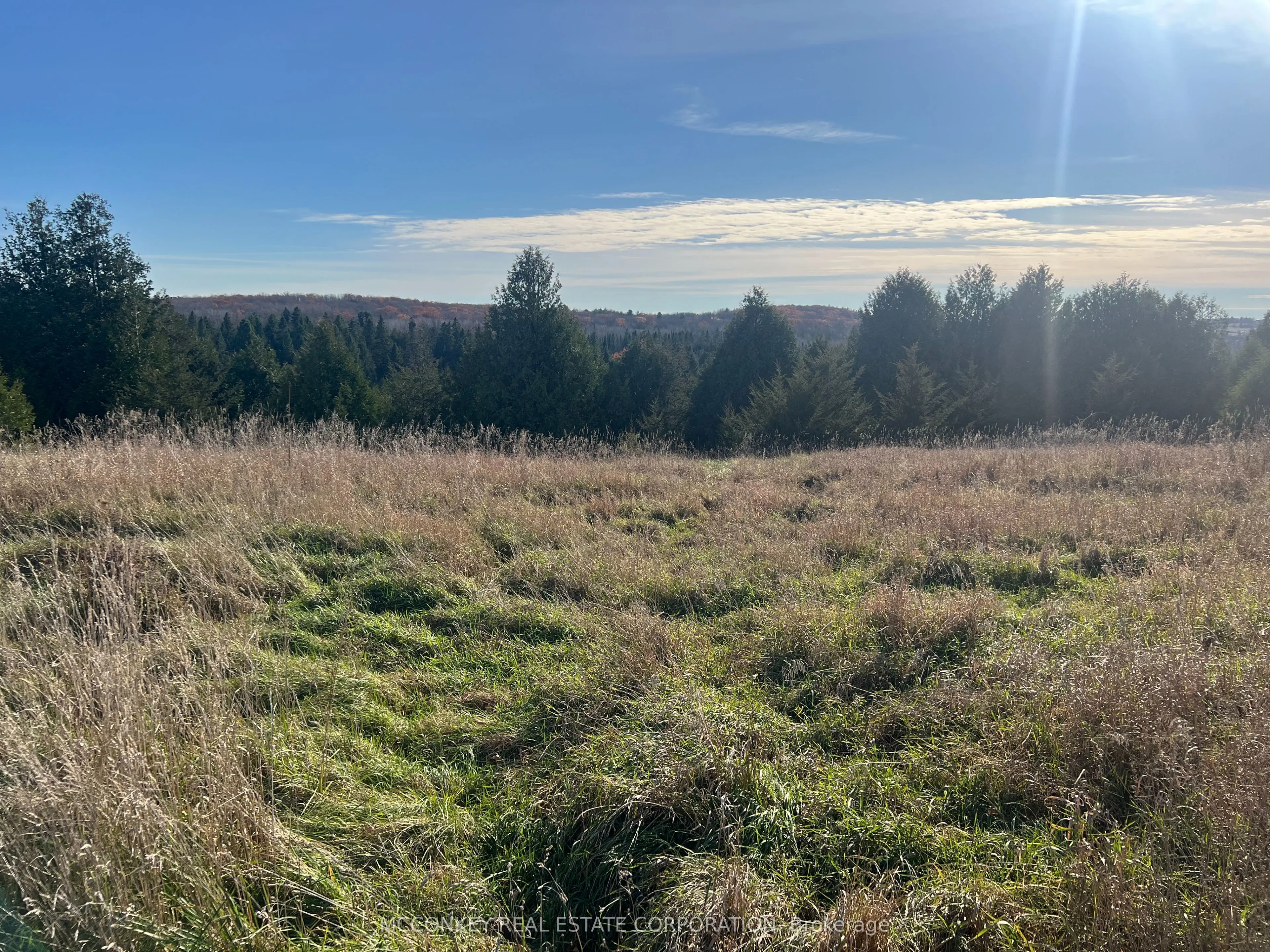 251 Concession Rd 13 E