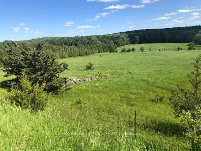 251 Concession Rd 13 E
