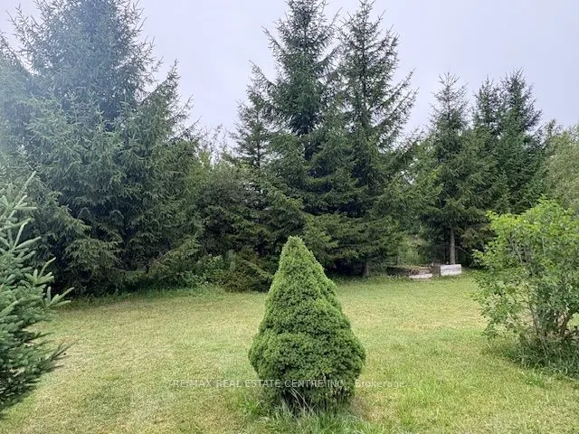 4 Maple Grove Village Road