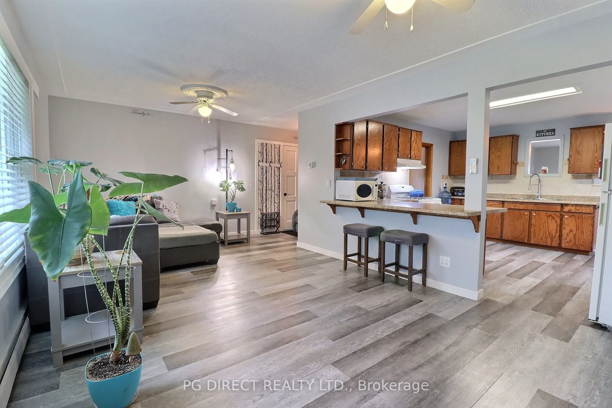 245 Dominion Street