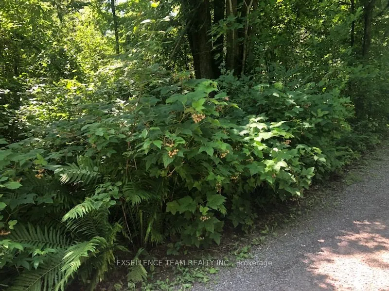 2512 County Road 30 Road W