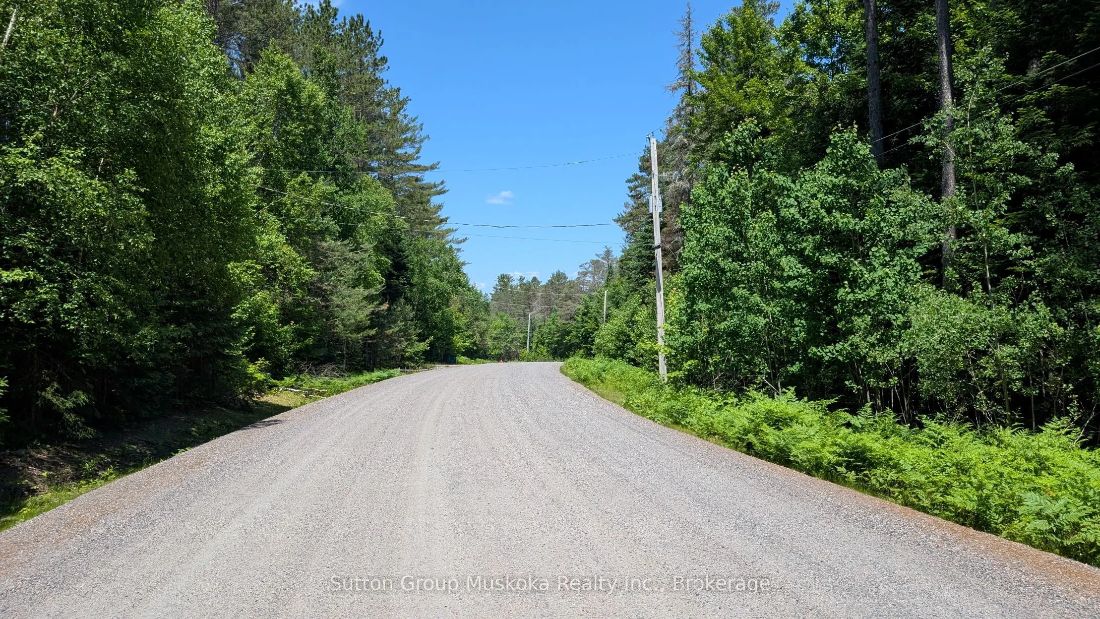 Lot 1 Red Pine Trail