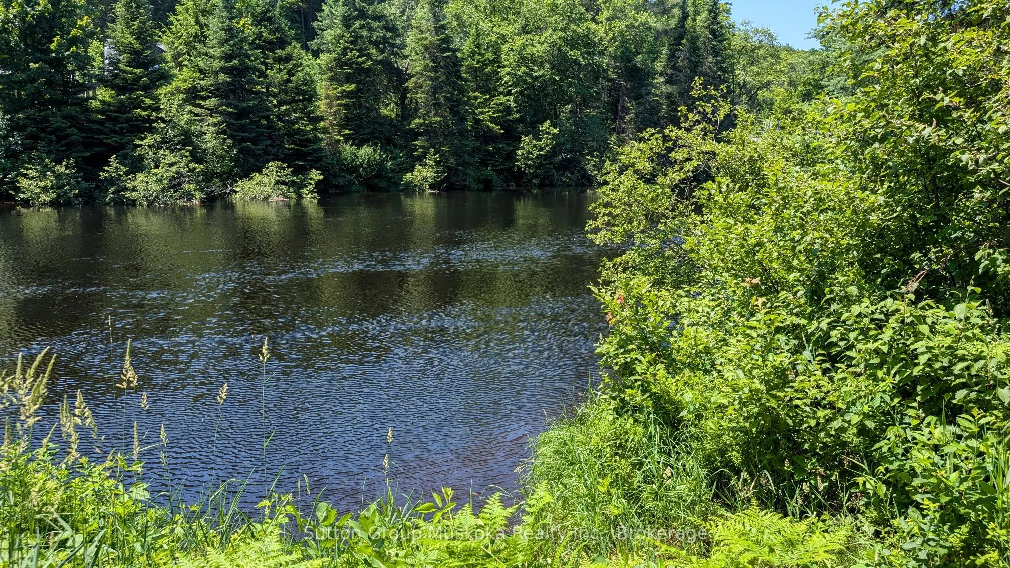 Lot 1 Red Pine Trail