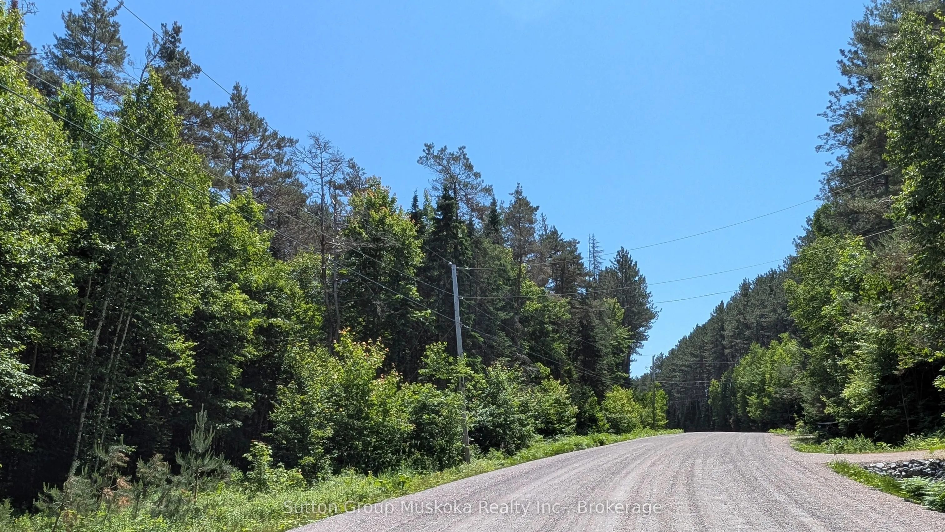 Lot 1 Red Pine Trail