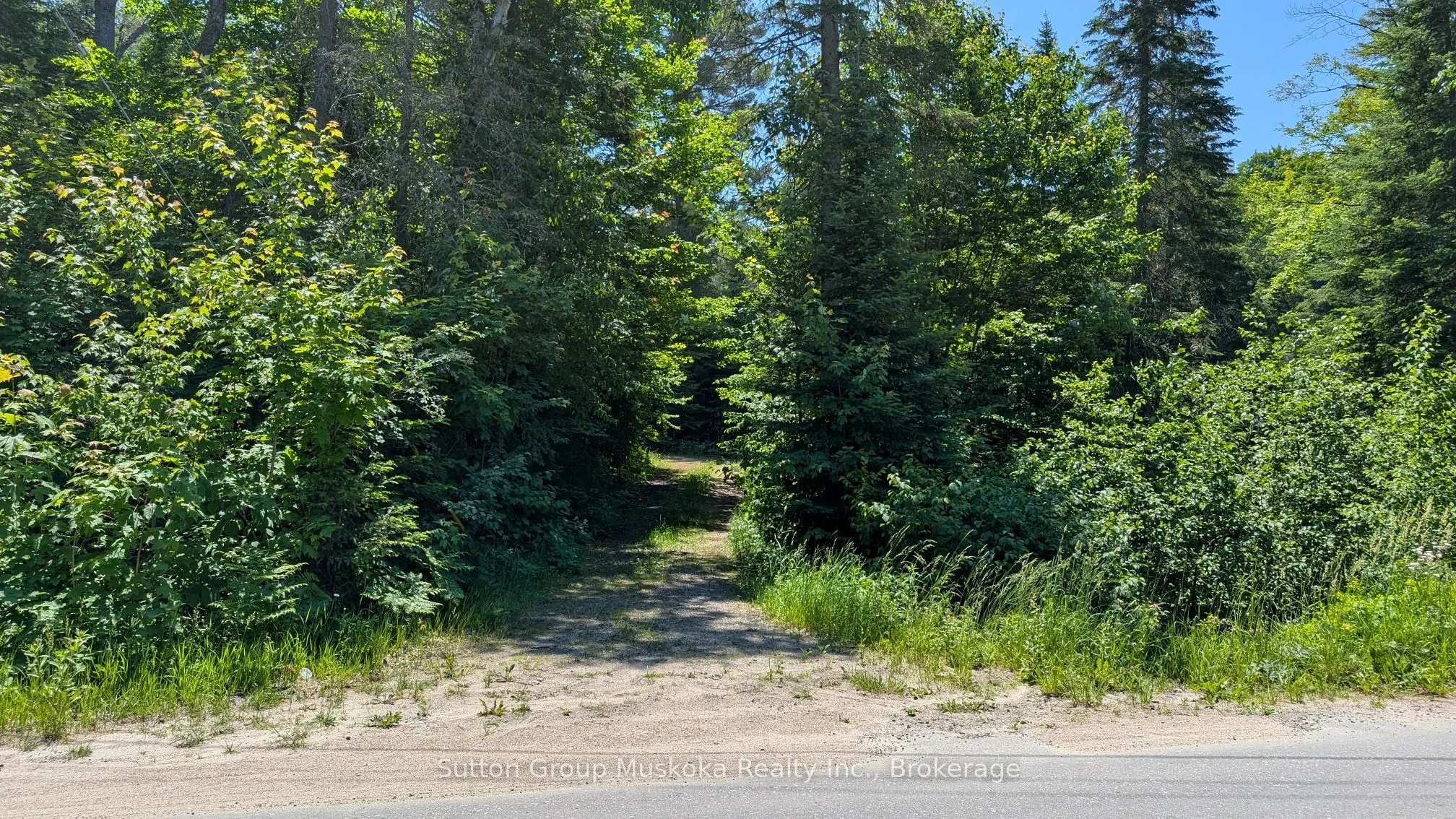 Lot 1 Red Pine Trail