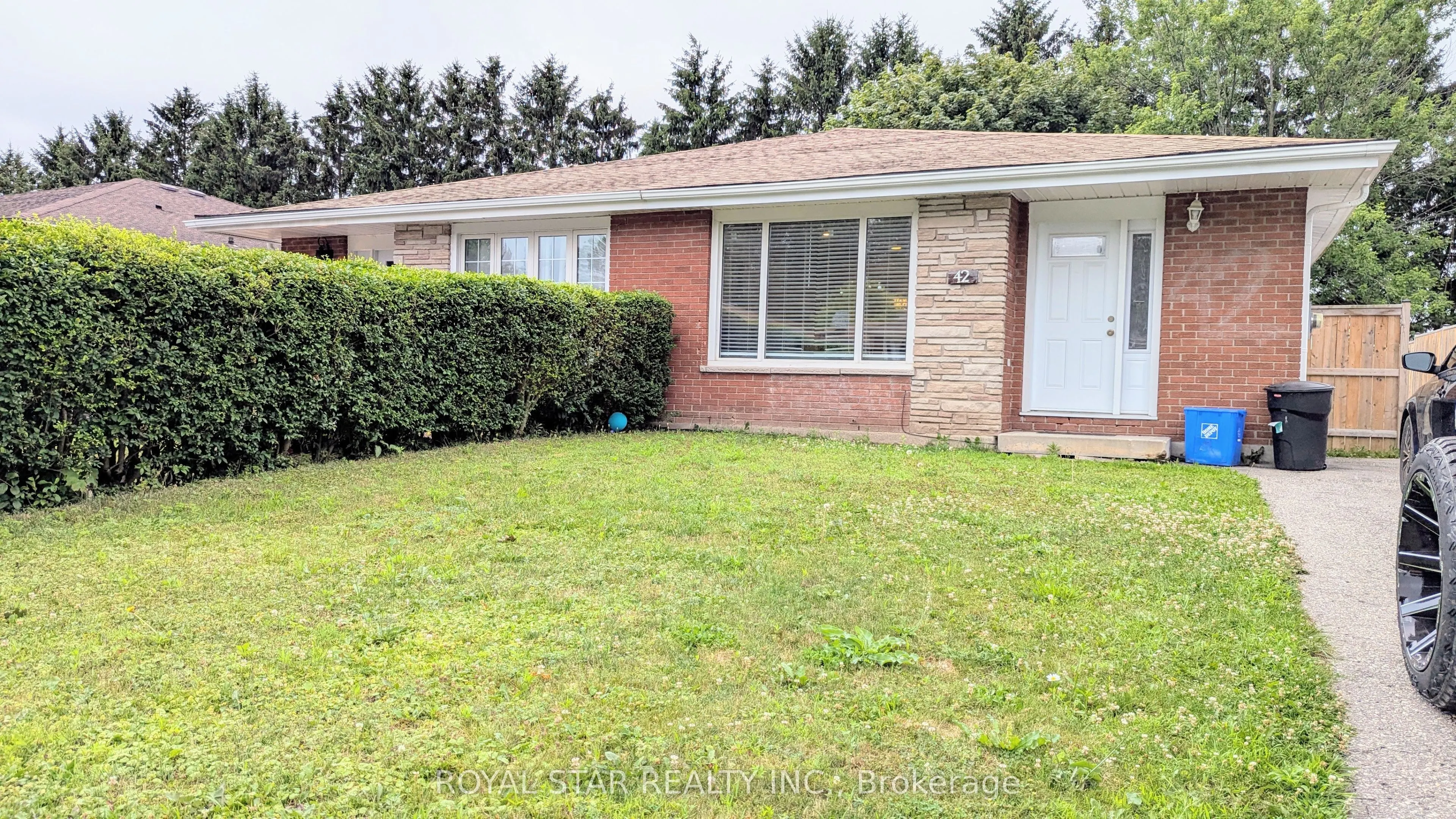 42 Witty Avenue