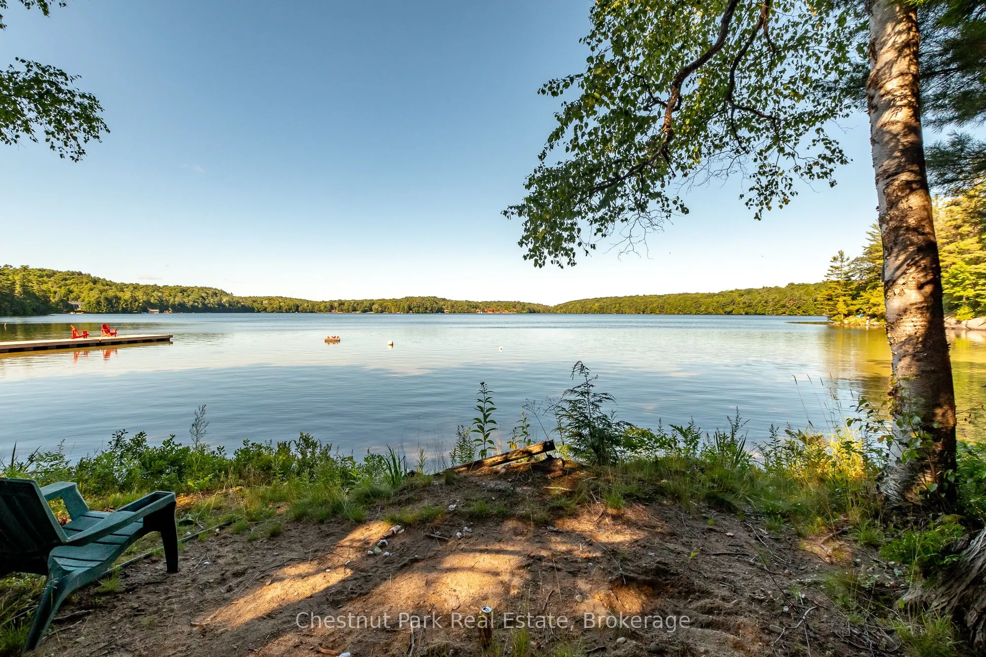 1167 Skeleton Lake 5 Road S, #Unit 1