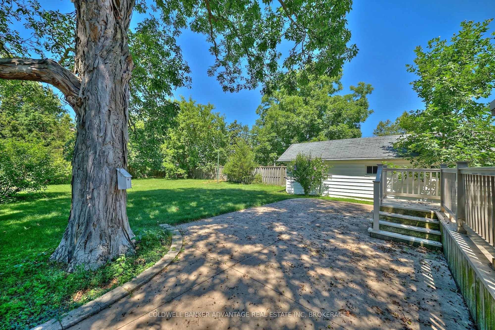 49 Carlton Avenue