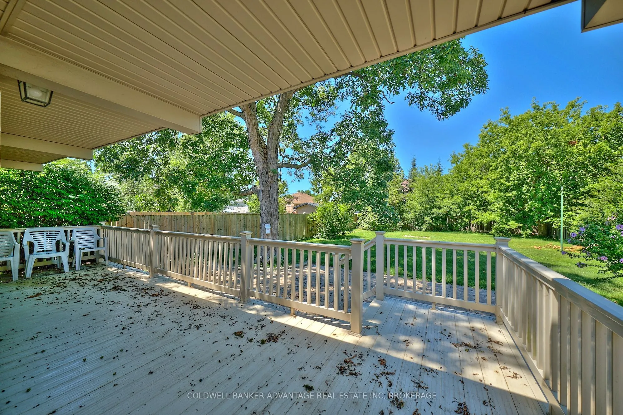 49 Carlton Avenue