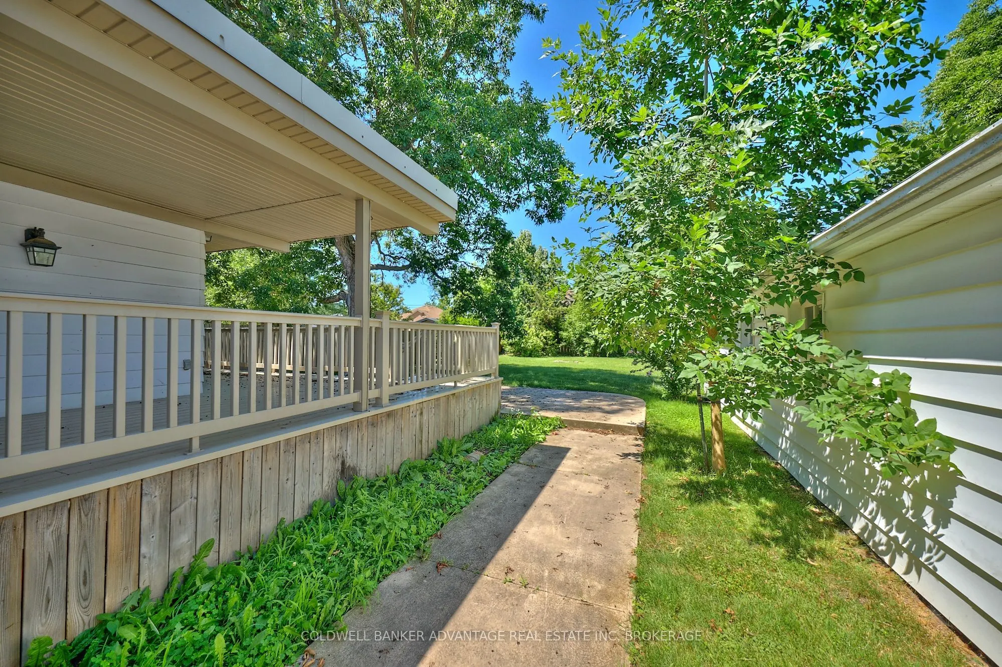 49 Carlton Avenue