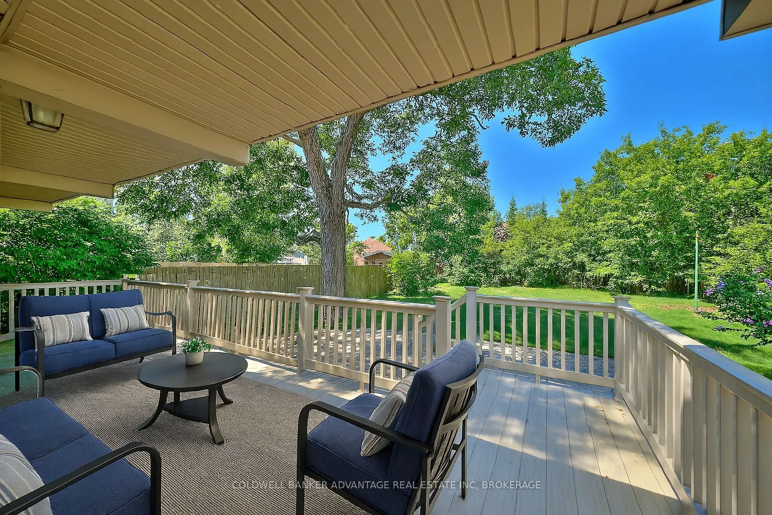 49 Carlton Avenue