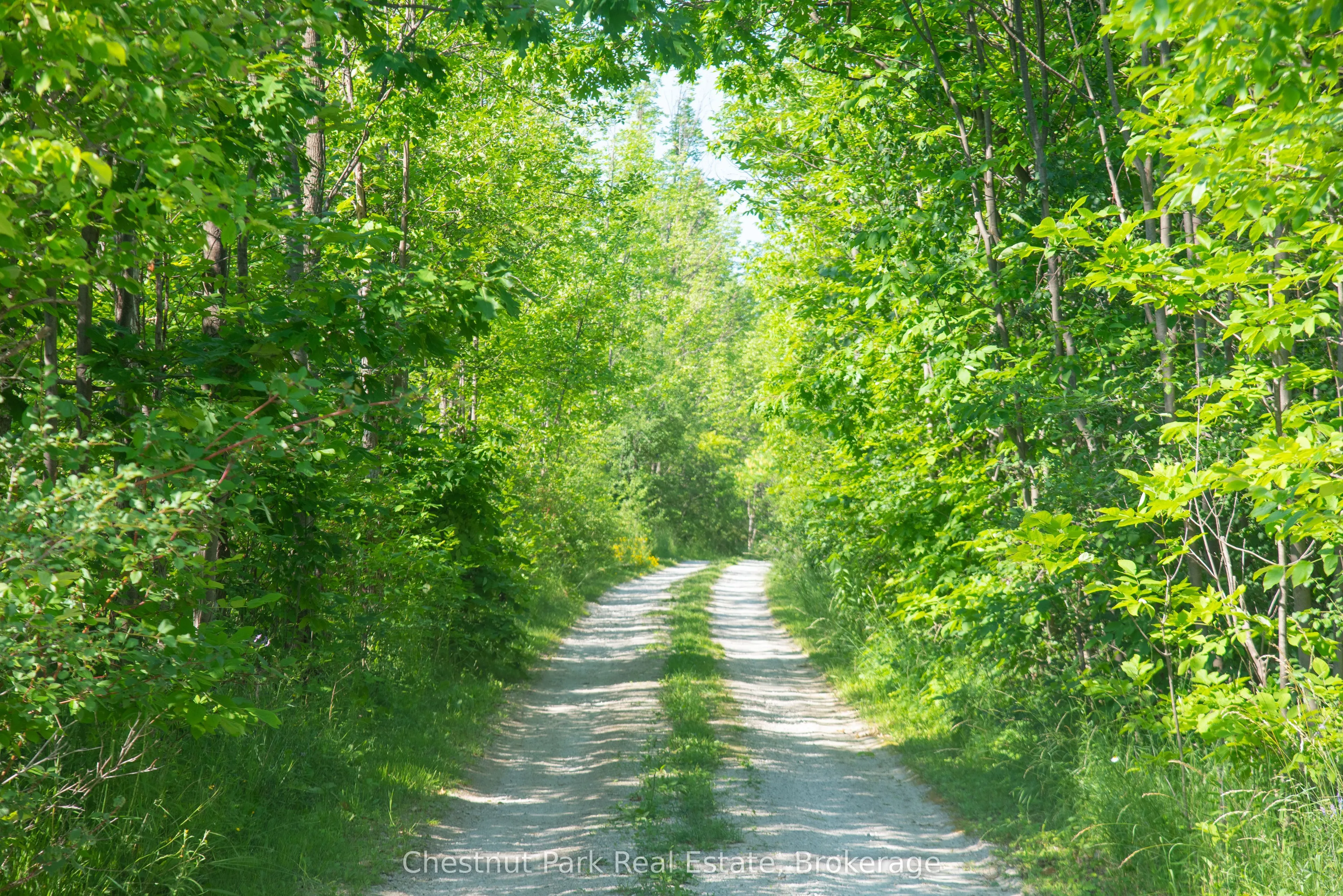 137 39th Side Road