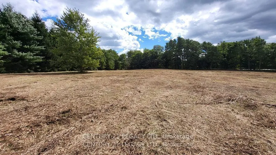 1278 Hwy 5 W