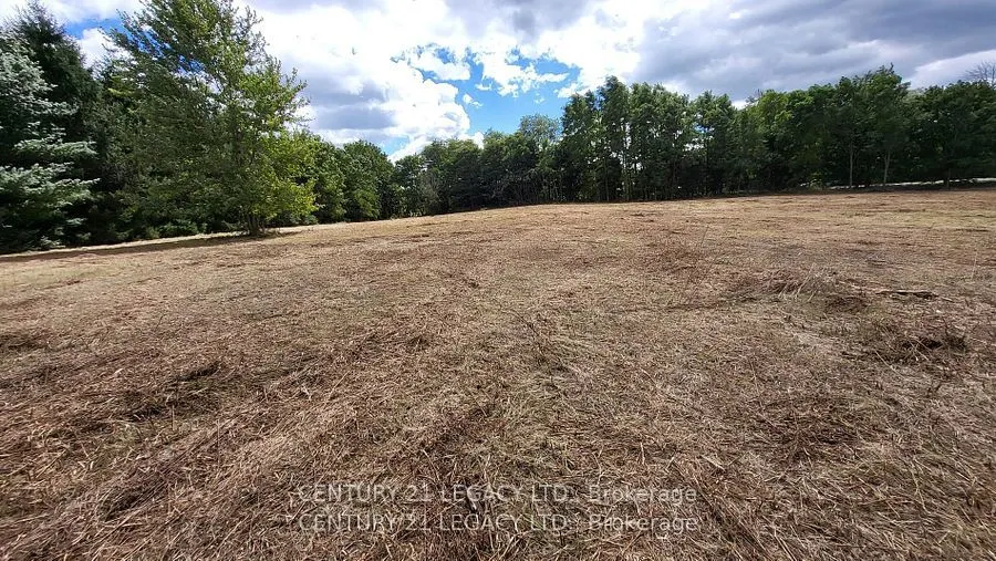 1278 Hwy 5 W
