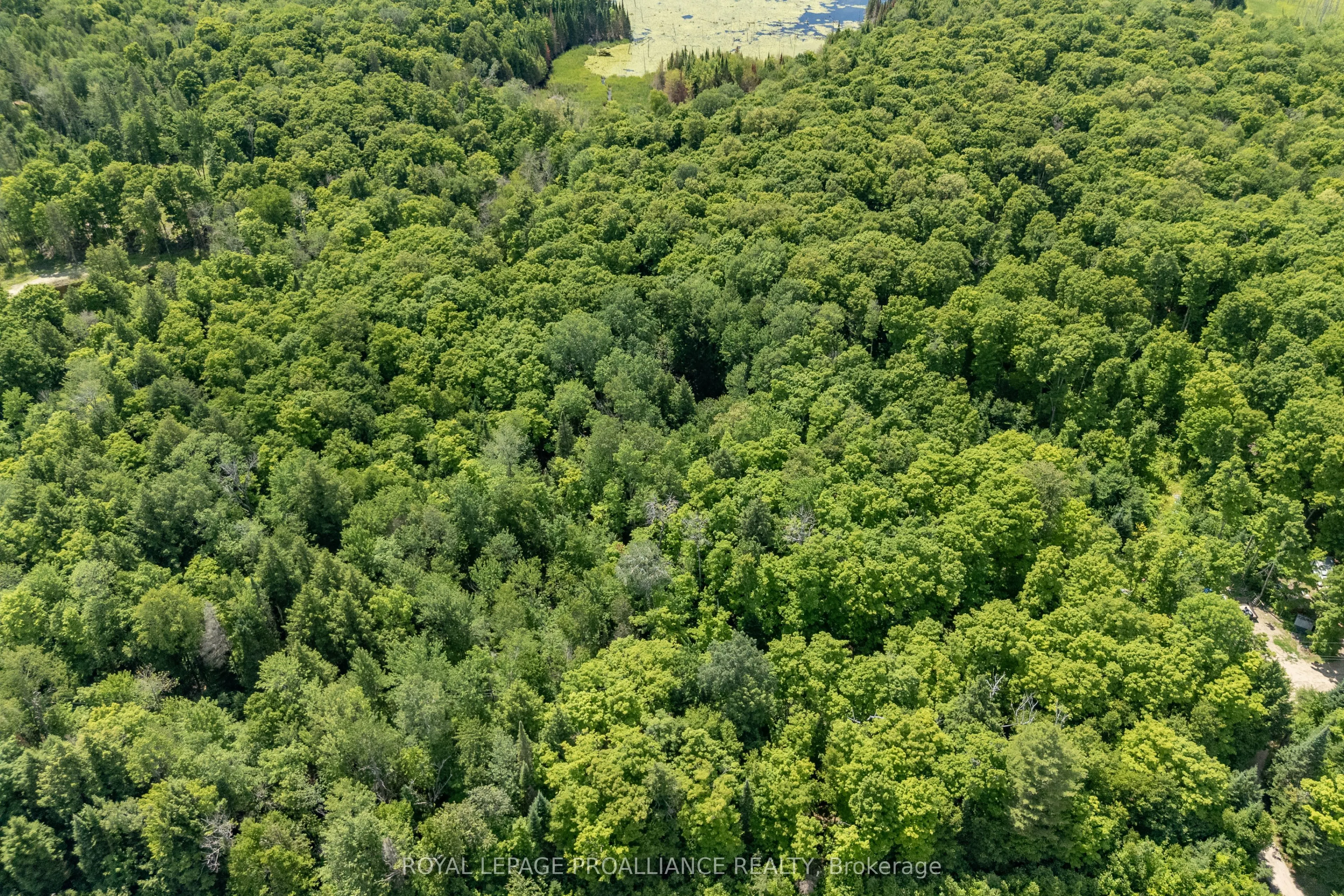 0 Buckshot Lake Road