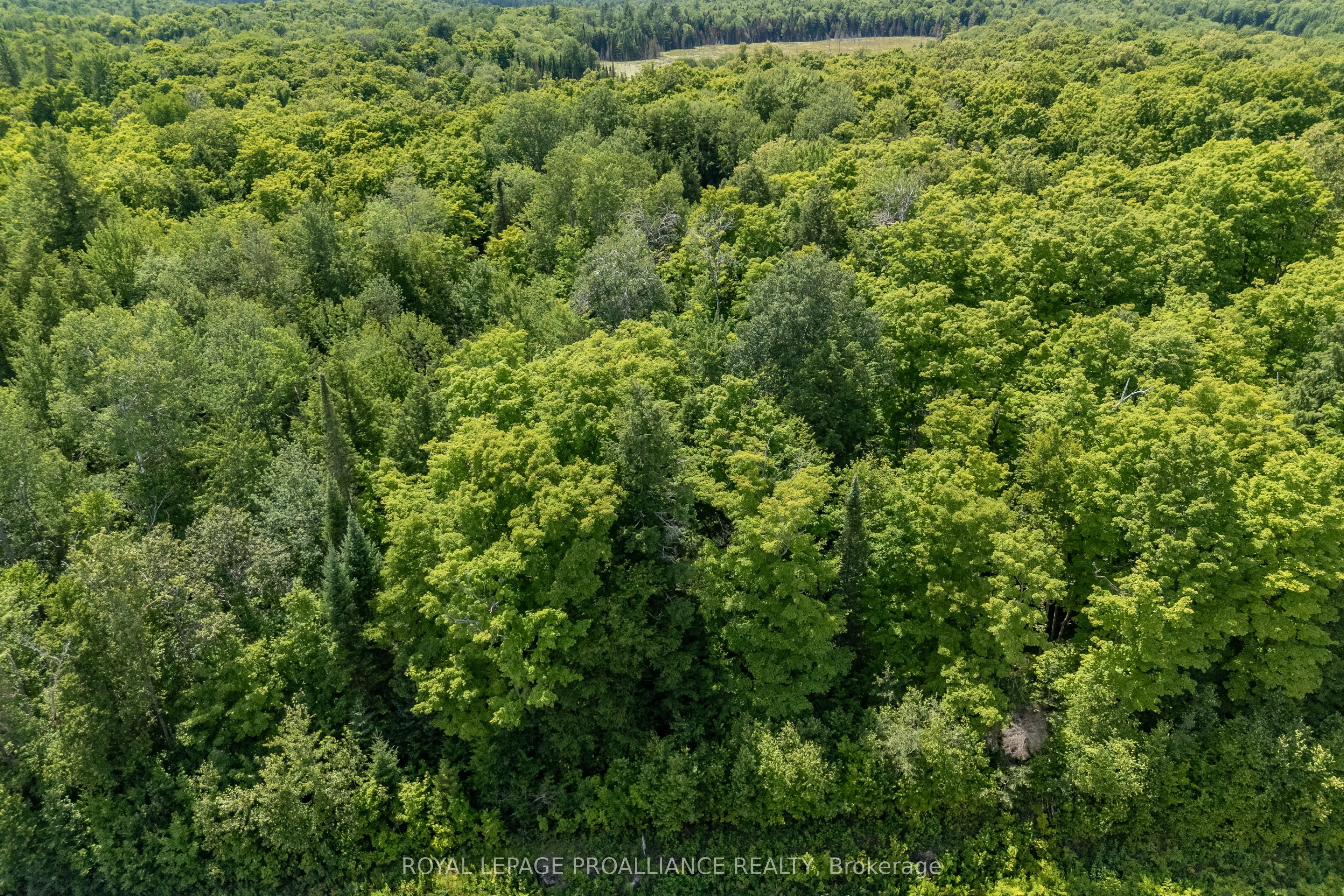 0 Buckshot Lake Road
