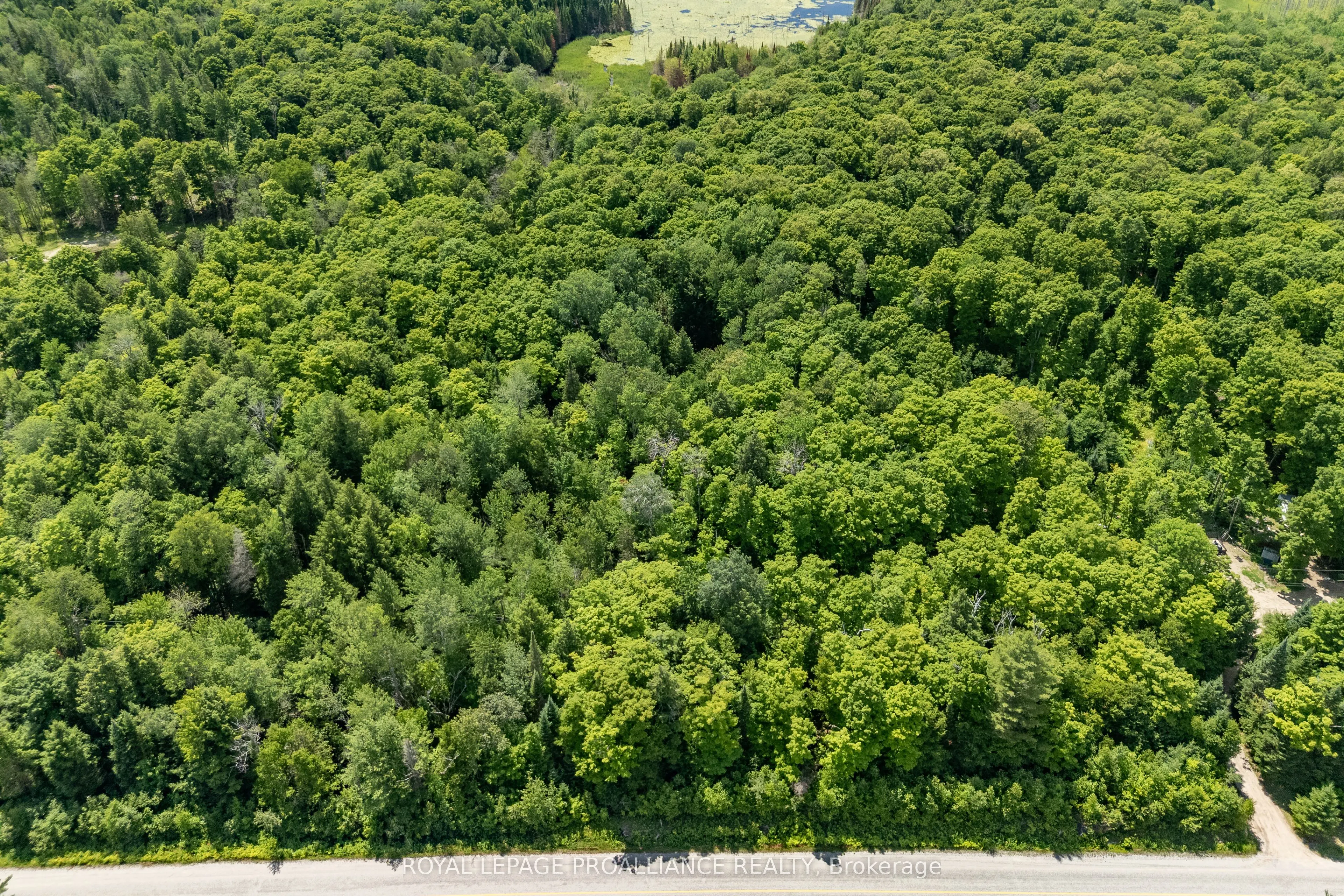 0 Buckshot Lake Road