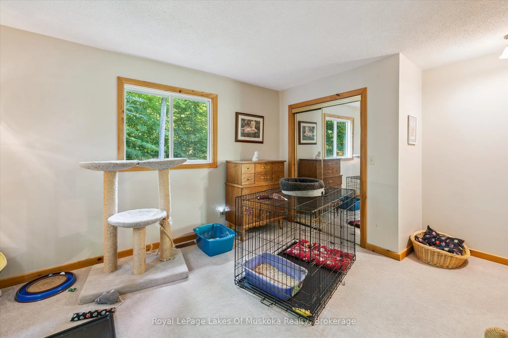 4159 Muskoka 117 Road
