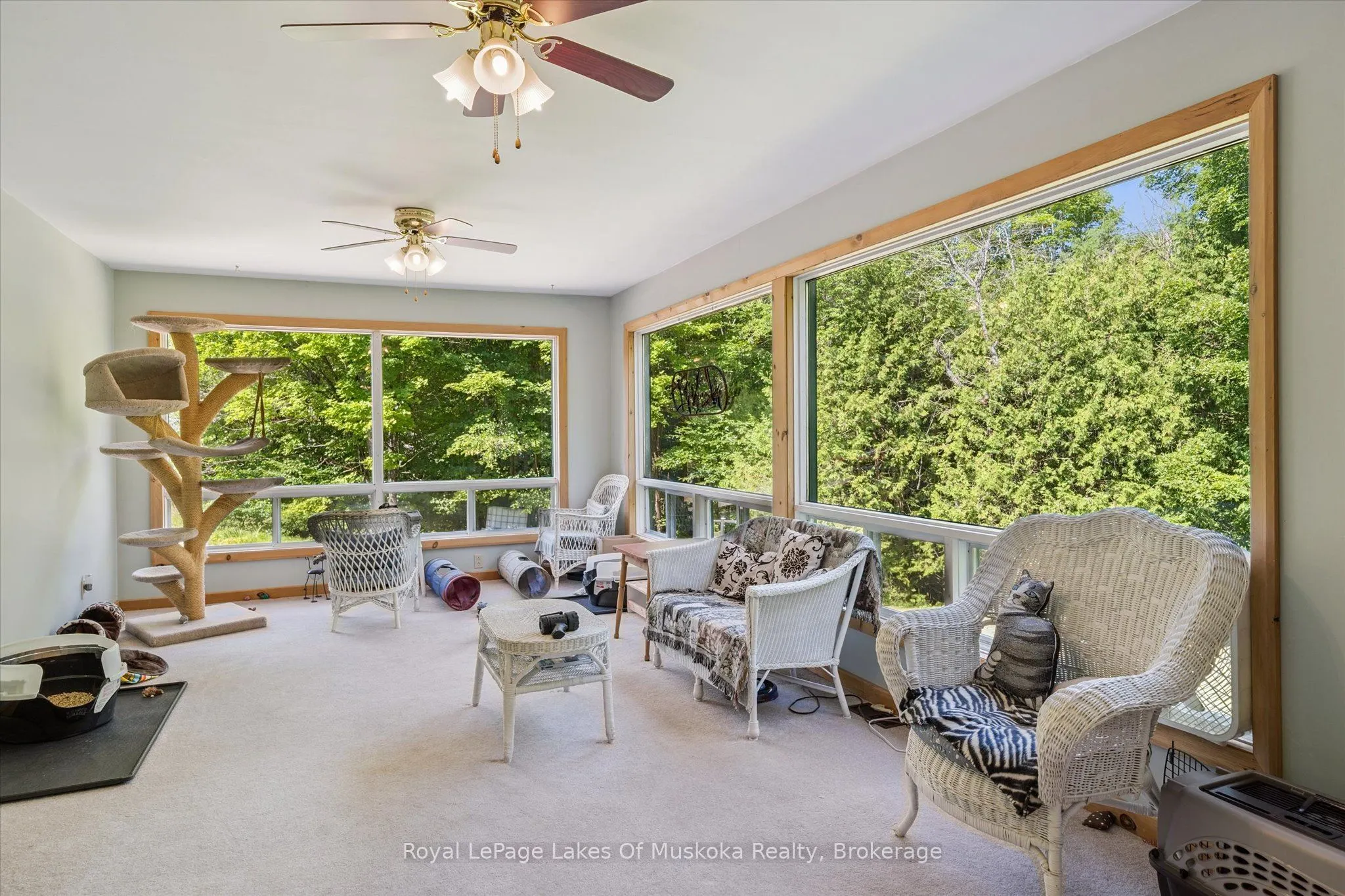 4159 Muskoka 117 Road