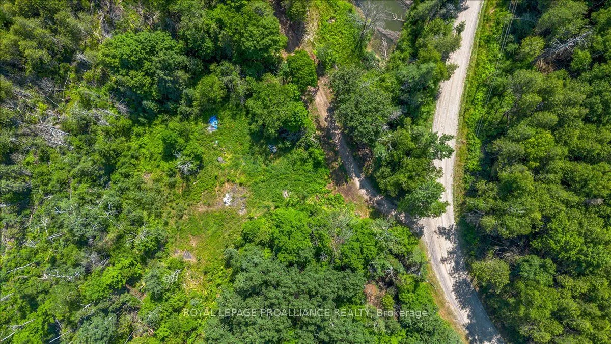 168 Limerick Lake Road