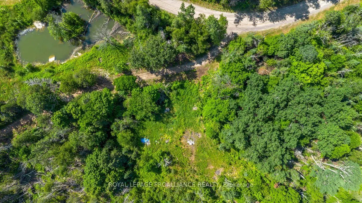168 Limerick Lake Road