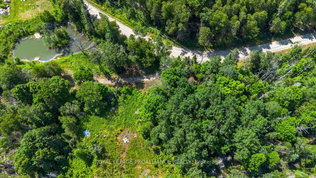 168 Limerick Lake Road