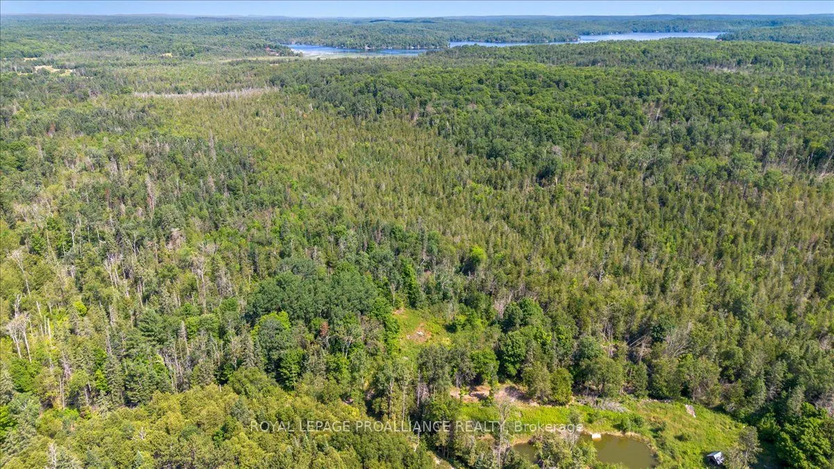 168 Limerick Lake Road