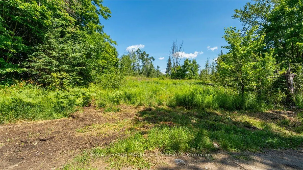 168 Limerick Lake Road