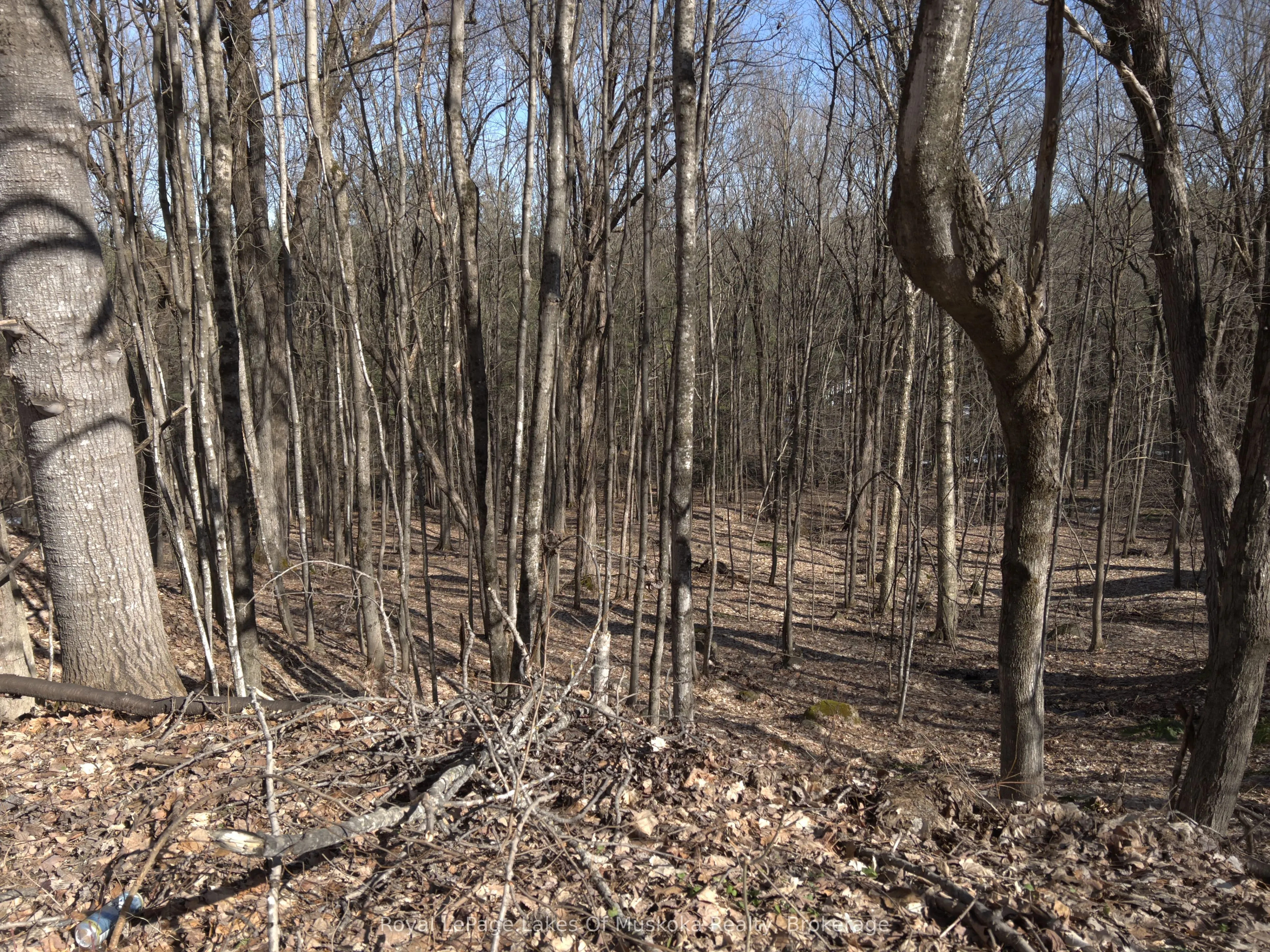 0 SOUTH MUSKOKA Drive