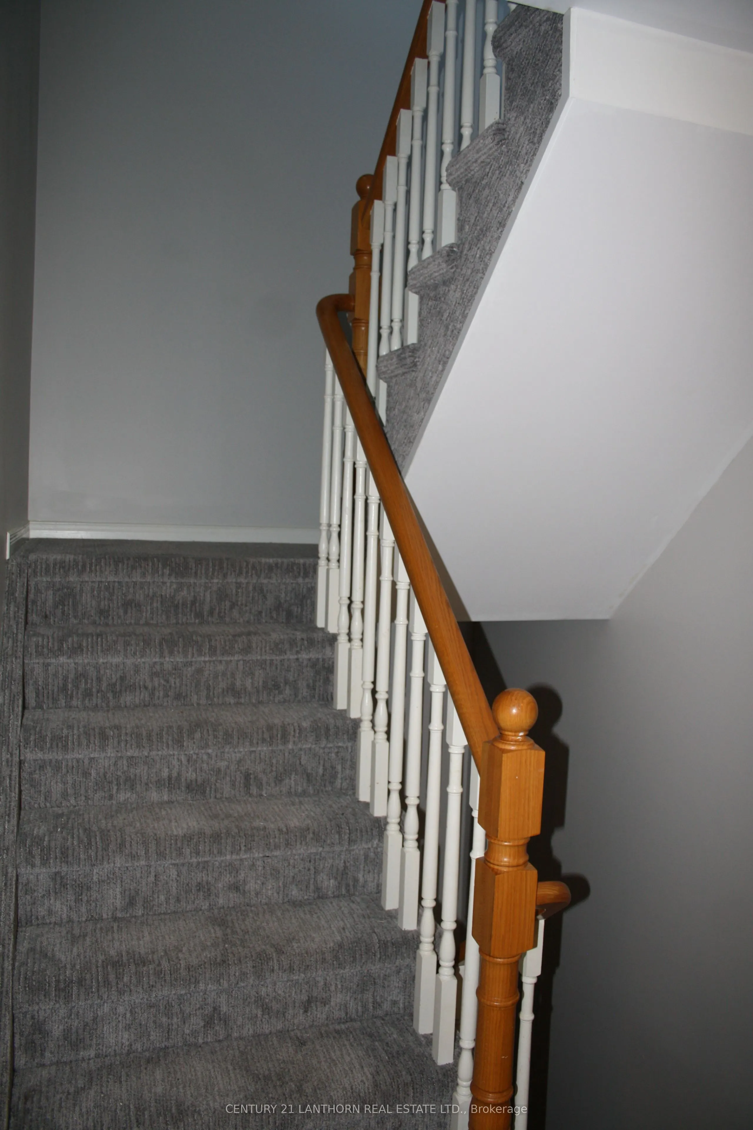 19 Pinegrove Court