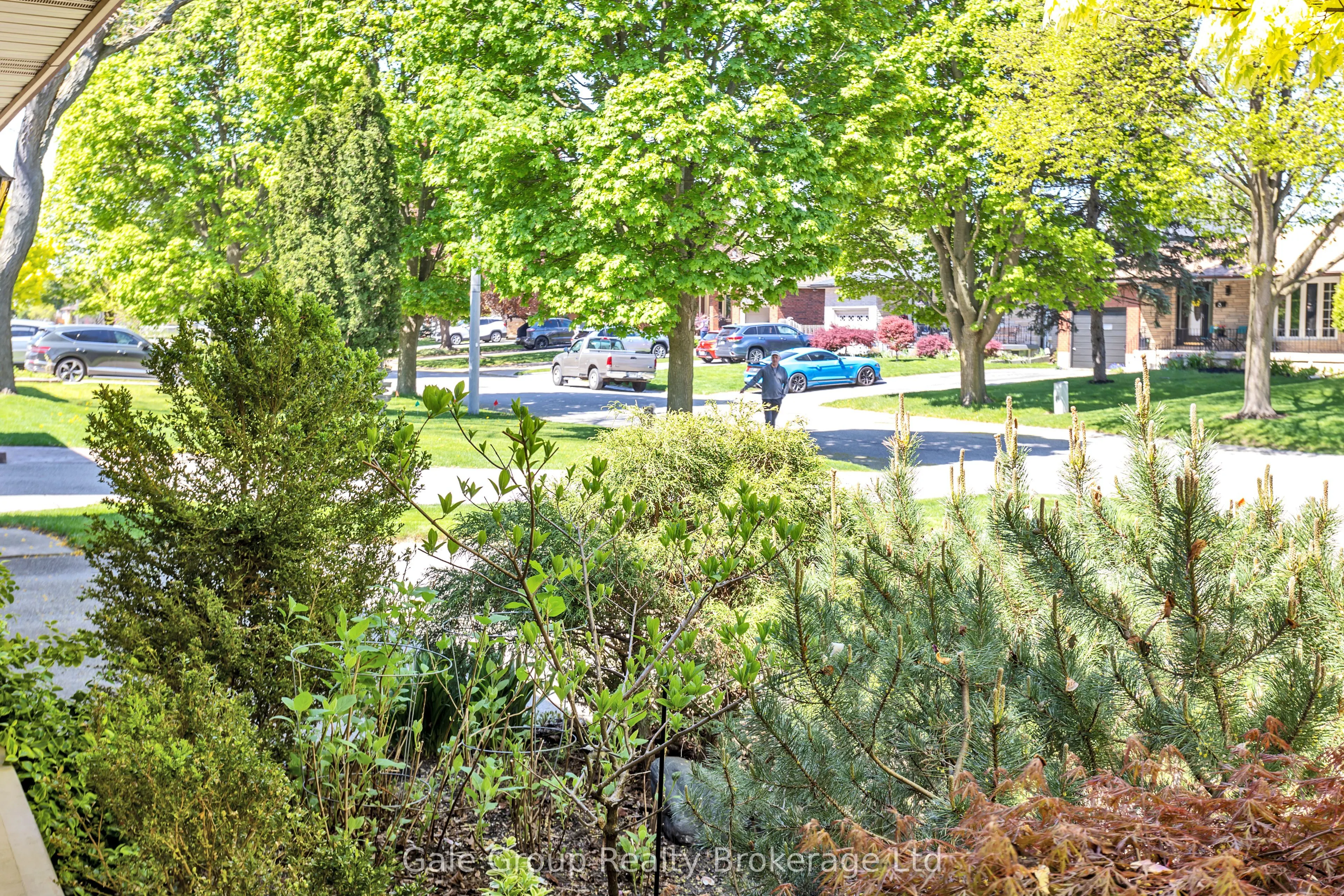 16 Edgar Drive