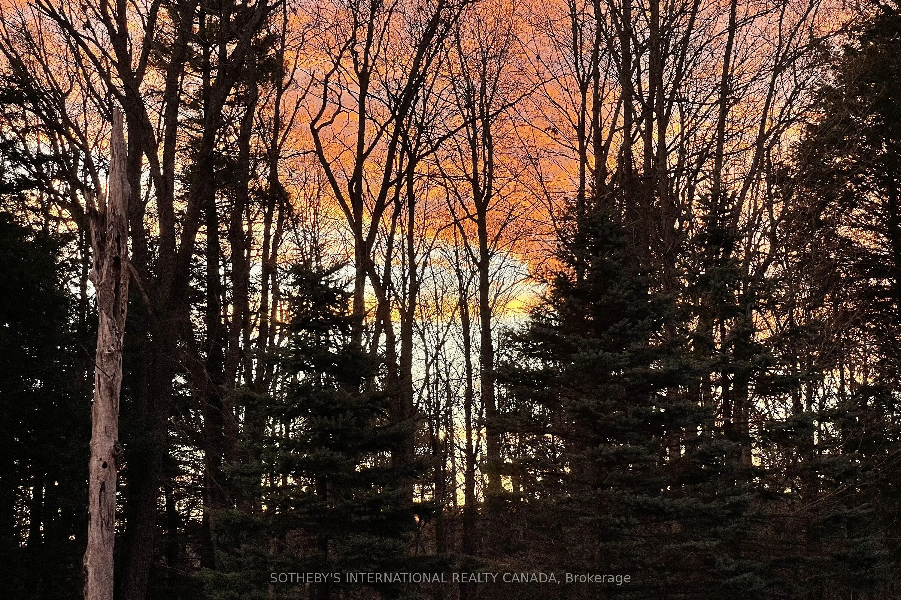 4556 Eagleson Line
