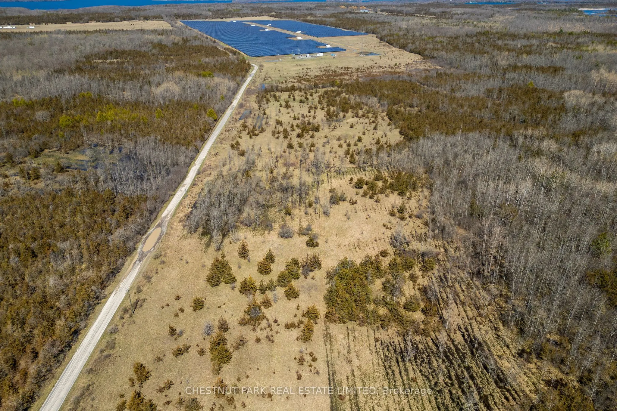 Rosseau Road