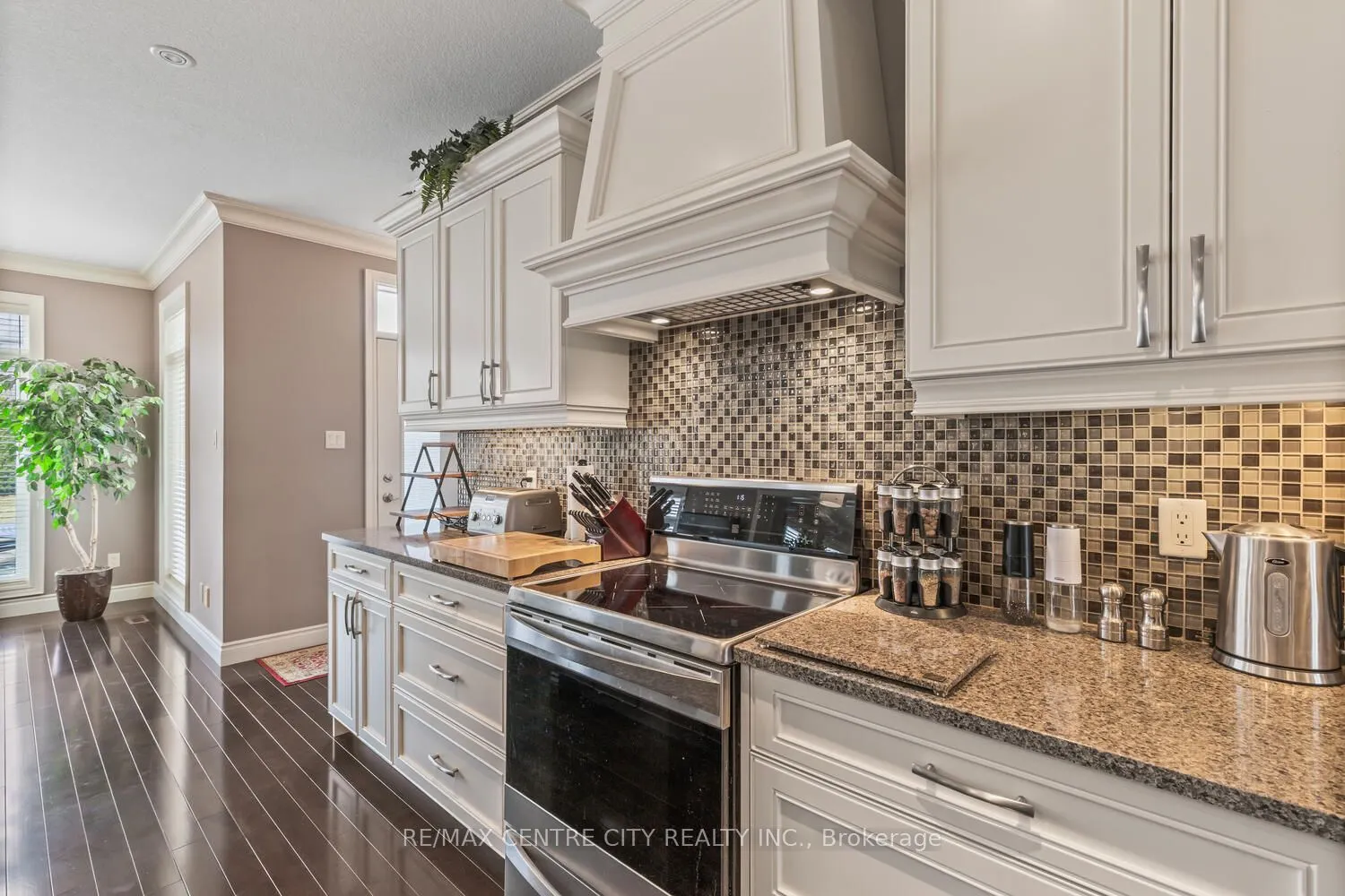 458 Eagletrace Drive