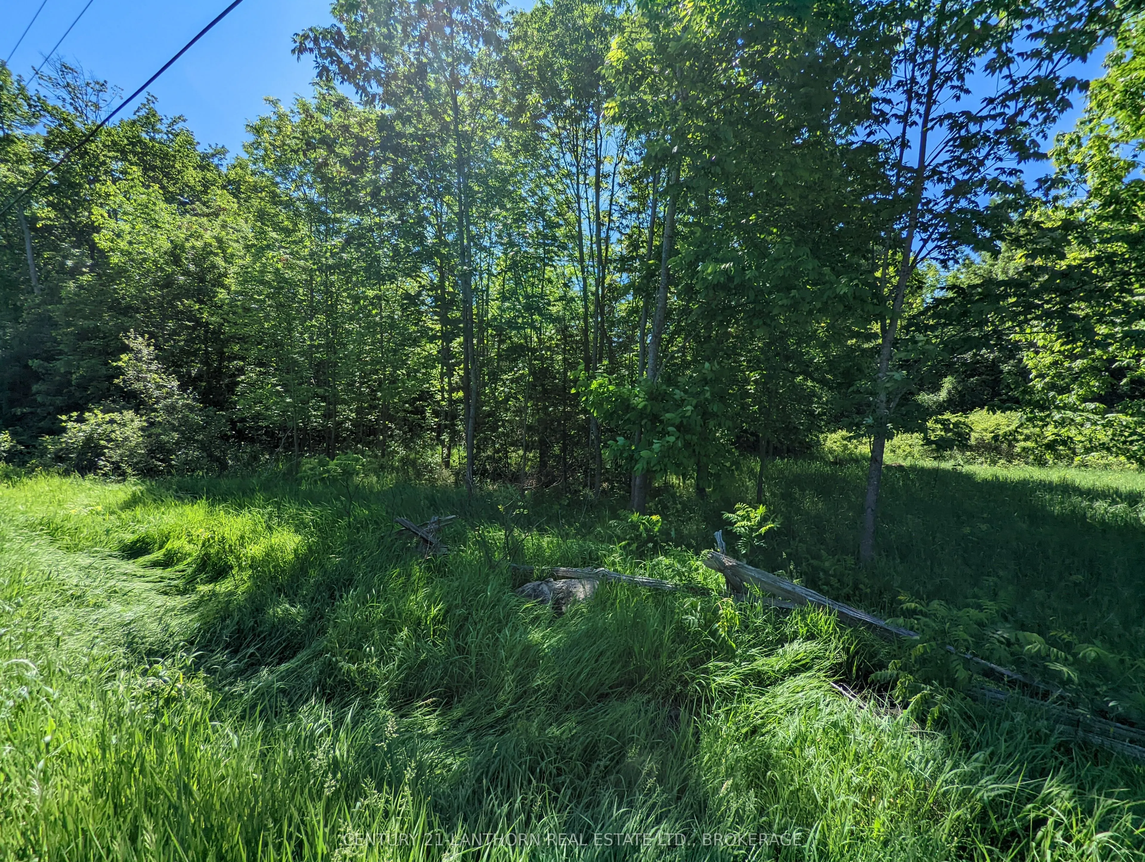 0 Pinegrove Road